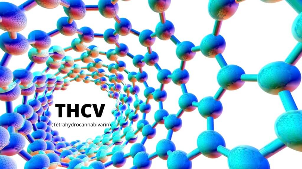 THCV-tetrahydrocannabivarin-rare-cannabinoid-chemical-compound-1024x576