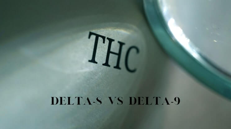 What is Delta-8-THC? Text reading THC, Delta-8 vs Delta-9. Blog about Delta-8 benefits and risks. Does it get you high? Are there better THC gummies alternatives?