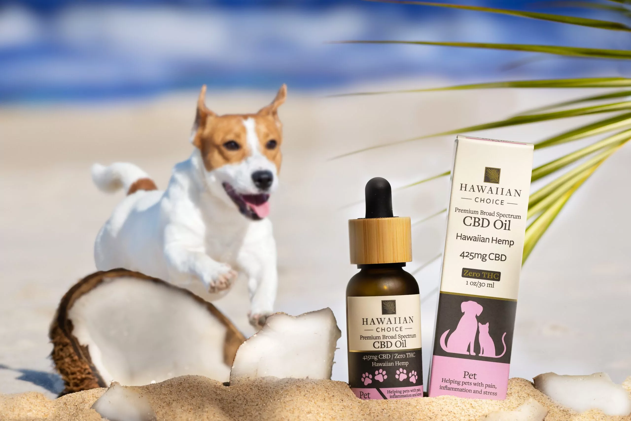 Hawaiian-Choice-Pet-CBD-Dog-Beach