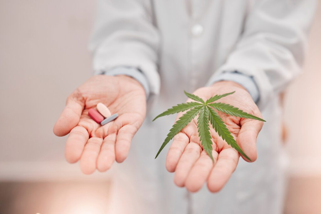 Cannabis medical marijuana versus pharmaceutical prescription pills of opioids