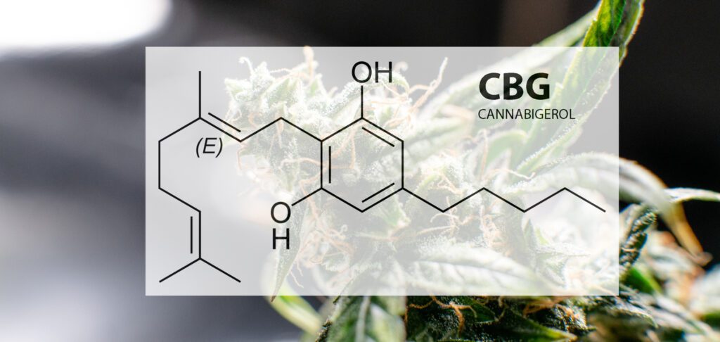 CBG cannabinoid chemical compound